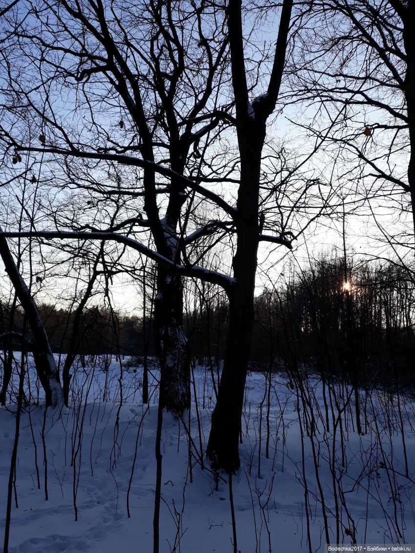 Последние денечки уходящего года (фото 10)