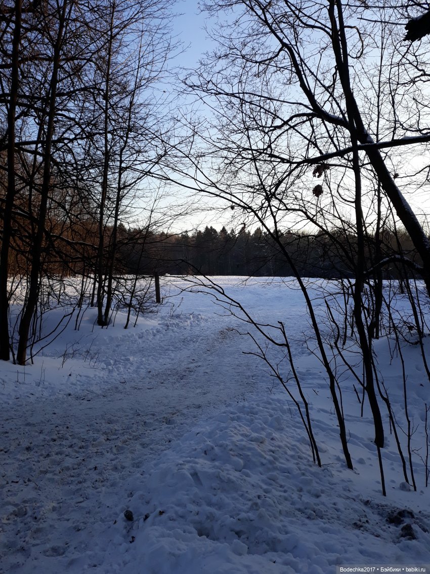 Последние денечки уходящего года