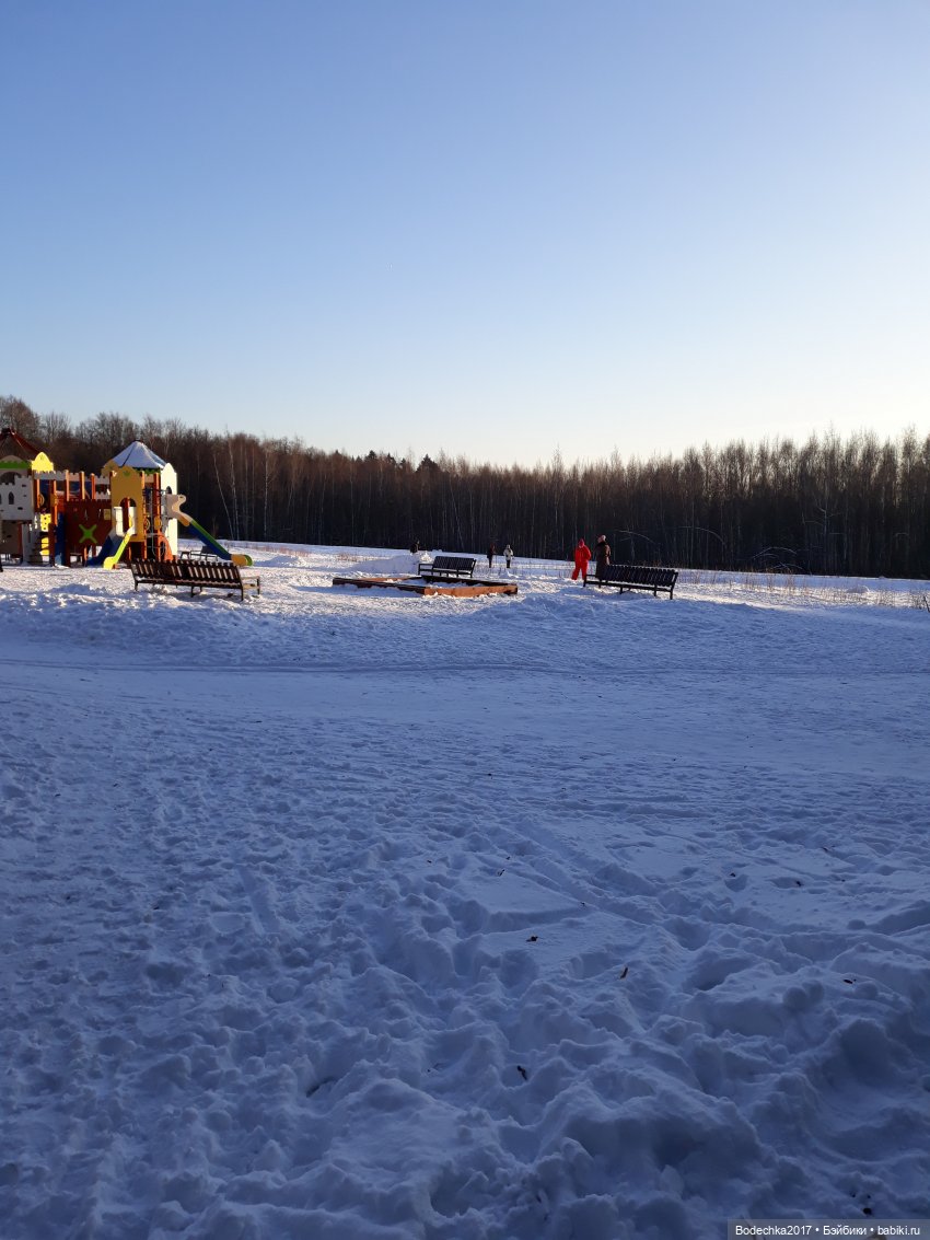 Последние денечки уходящего года (фото 3)