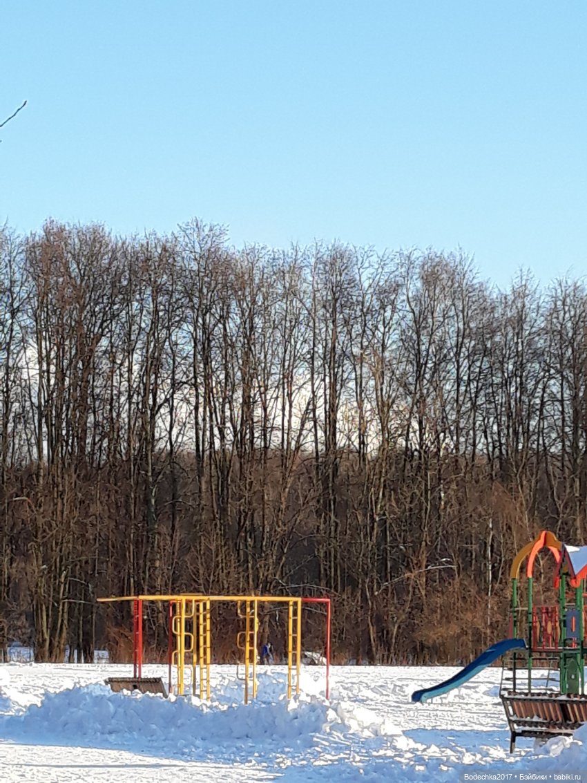 Последние денечки уходящего года (фото 4)