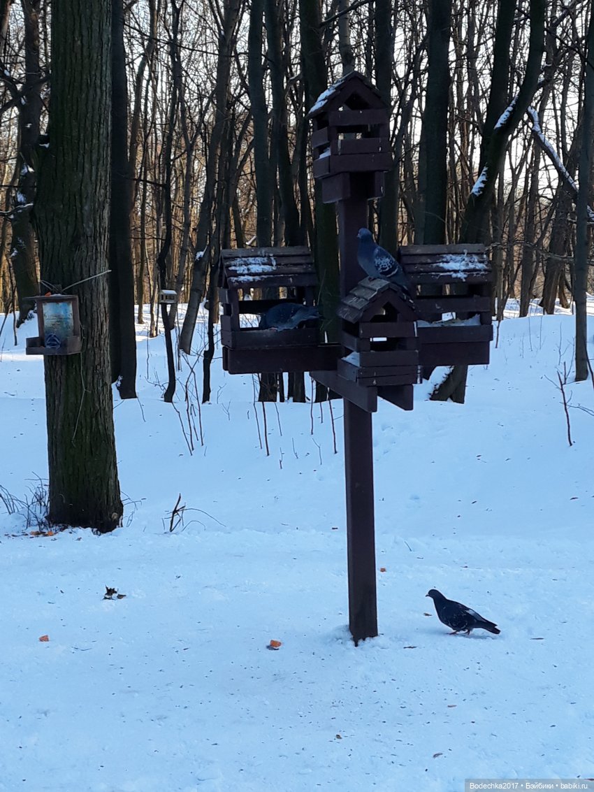 Последние денечки уходящего года (фото 9)