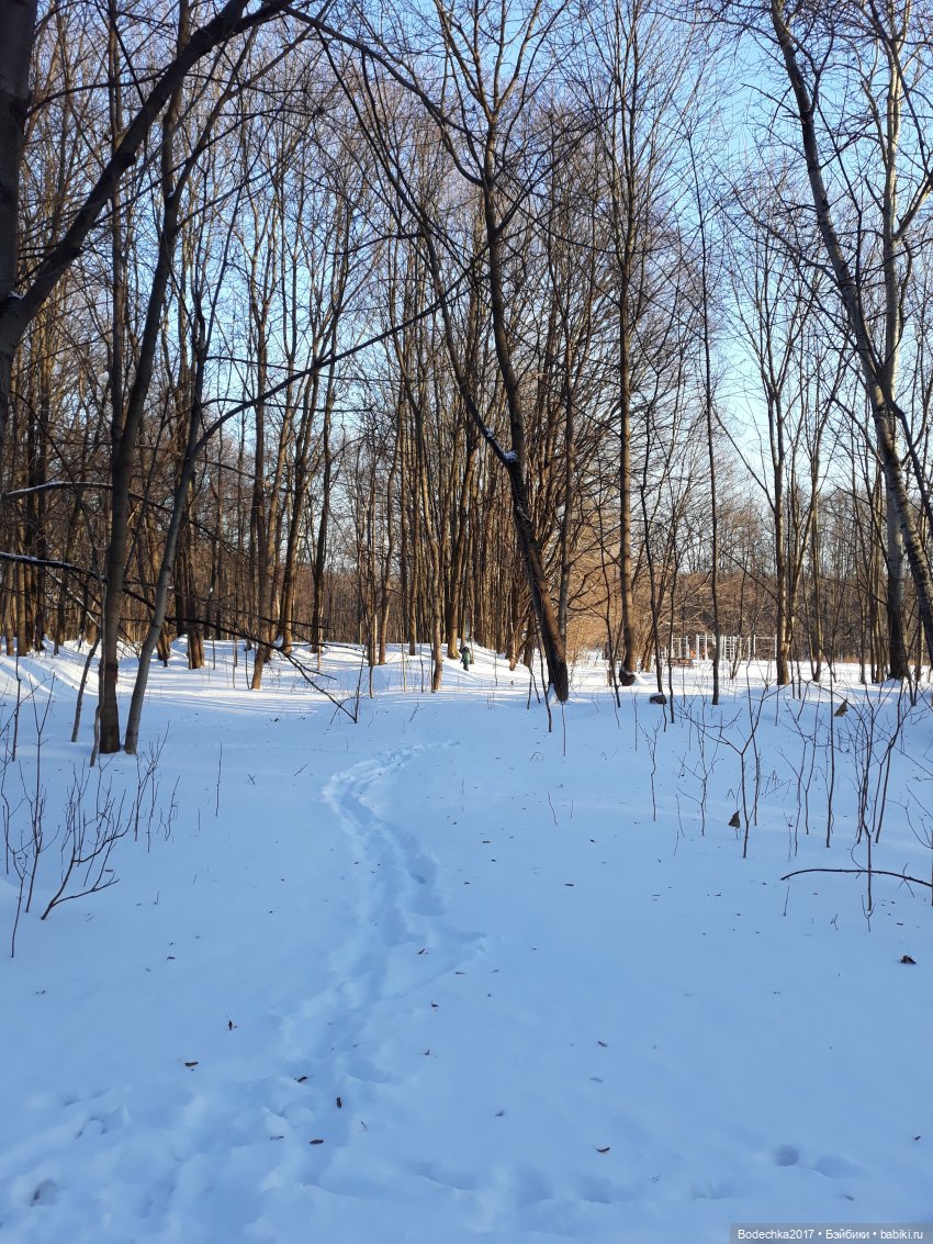 Последние денечки уходящего года (фото 7)