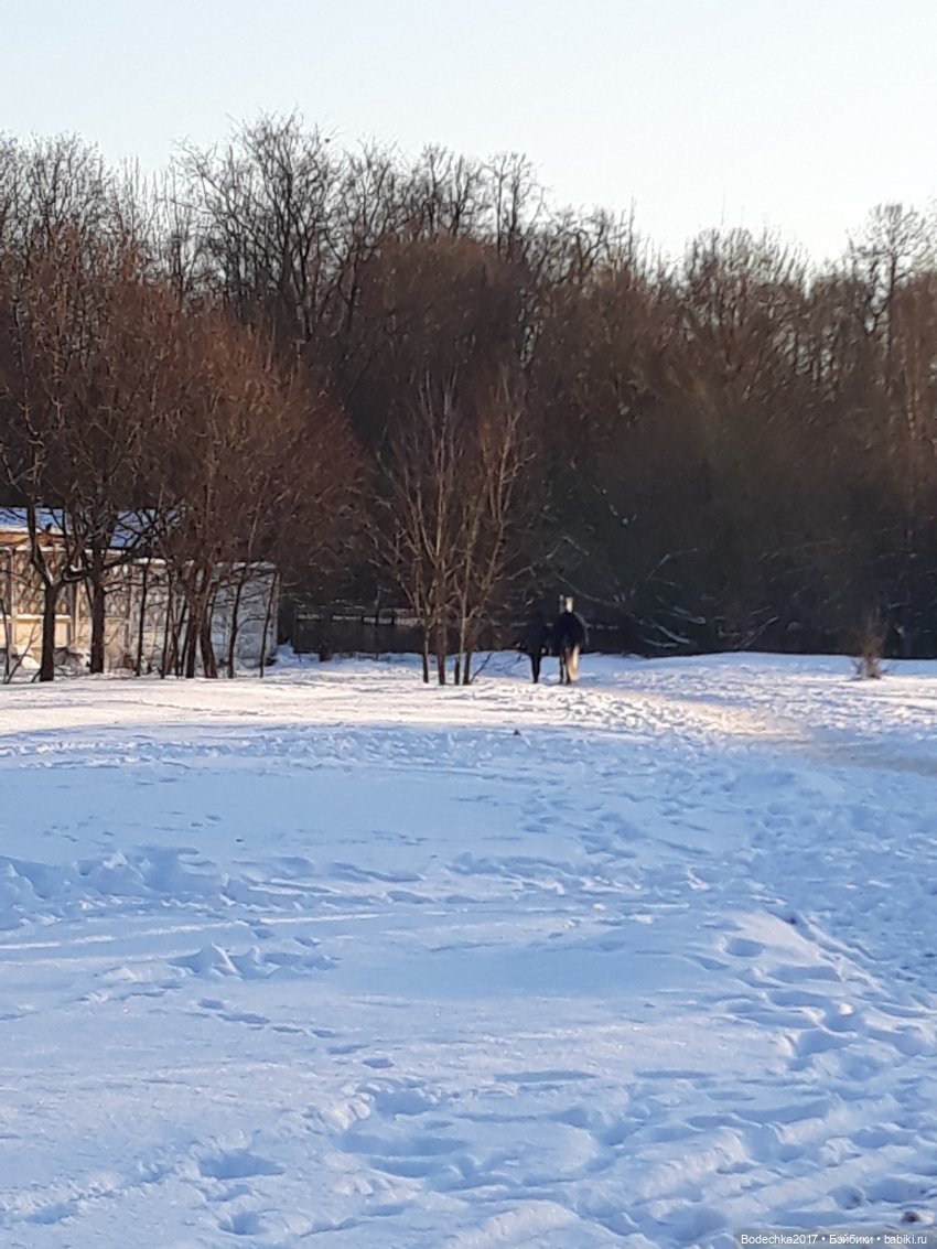 Последние денечки уходящего года