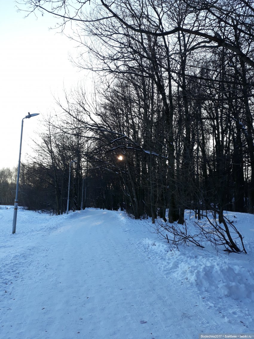 Последние денечки уходящего года (фото 8)