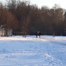 Последние денечки уходящего года