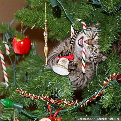 Кошки очень любят новогодние елки! У вас елка не падала (фото 7)