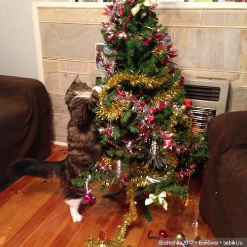 Кошки очень любят новогодние елки! У вас елка не падала (фото 6)