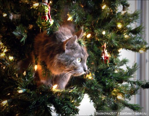 Кошки очень любят новогодние елки! У вас елка не падала