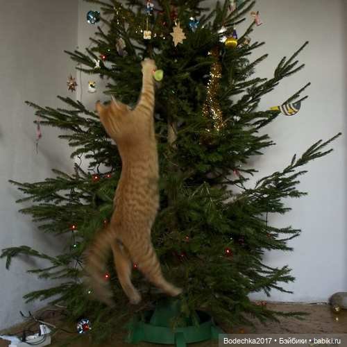 Кошки очень любят новогодние елки! У вас елка не падала