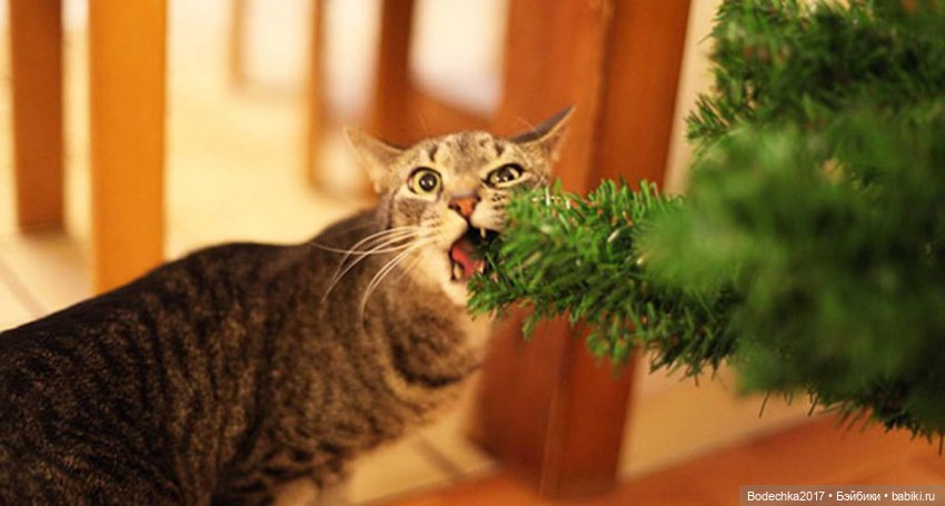 Кошки очень любят новогодние елки! У вас елка не падала