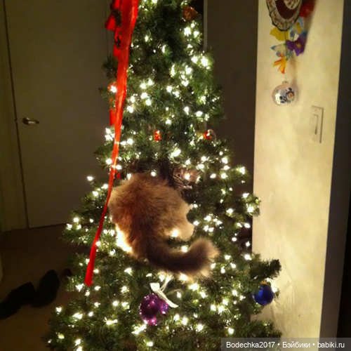 Кошки очень любят новогодние елки! У вас елка не падала