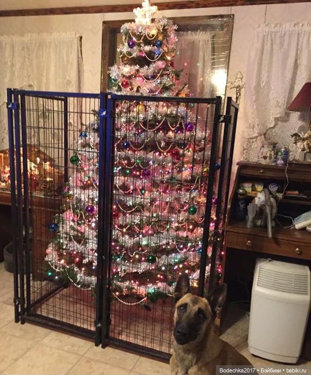 Ну, просто напросилось продолжение про кошек и их любимые елки (фото 5)