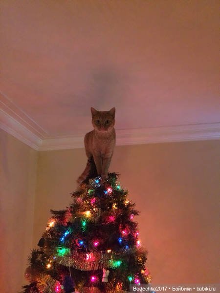 Кошки очень любят новогодние елки! У вас елка не падала