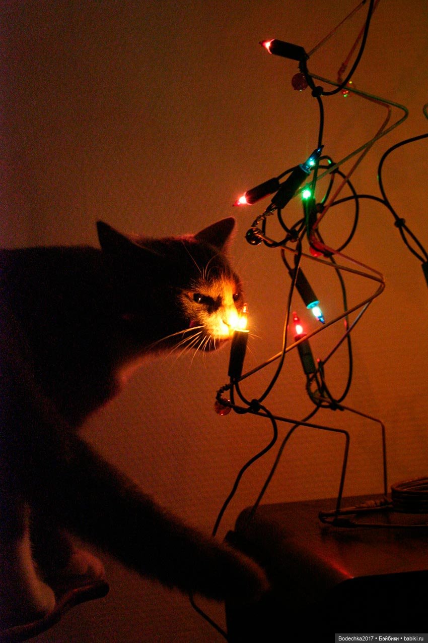 Кошки очень любят новогодние елки! У вас елка не падала