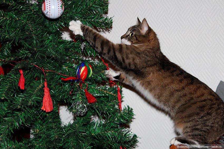 Кошки очень любят новогодние елки! У вас елка не падала