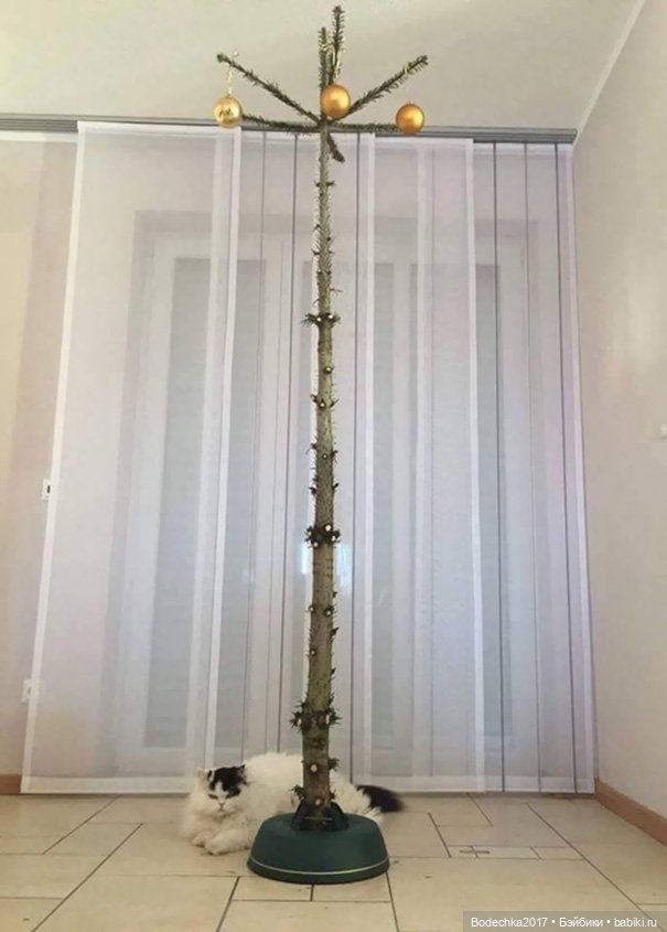 Ну, просто напросилось продолжение про кошек и их любимые елки