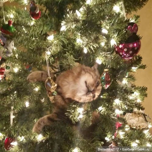 Кошки очень любят новогодние елки! У вас елка не падала (фото 2)
