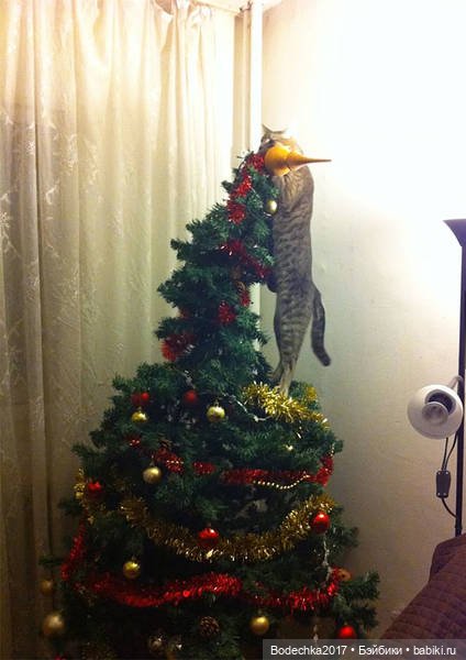 Кошки очень любят новогодние елки! У вас елка не падала (фото 3)
