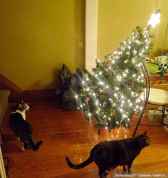 Кошки очень любят новогодние елки! У вас елка не падала