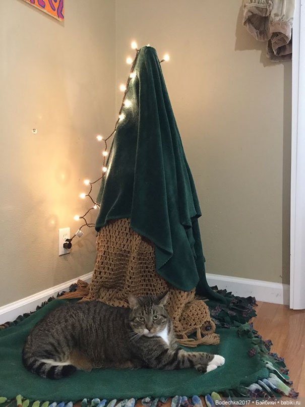 Ну, просто напросилось продолжение про кошек и их любимые елки (фото 7)