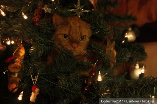 Кошки очень любят новогодние елки! У вас елка не падала