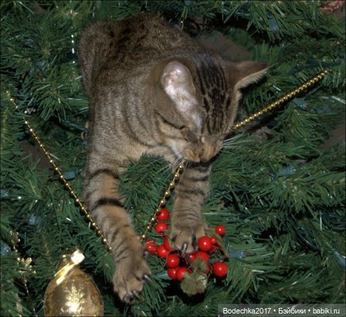 Кошки очень любят новогодние елки! У вас елка не падала