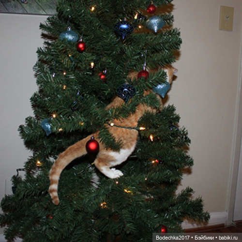 Кошки очень любят новогодние елки! У вас елка не падала