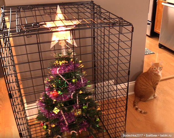 Ну, просто напросилось продолжение про кошек и их любимые елки (фото 4)