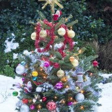 Не хочется убирать елку