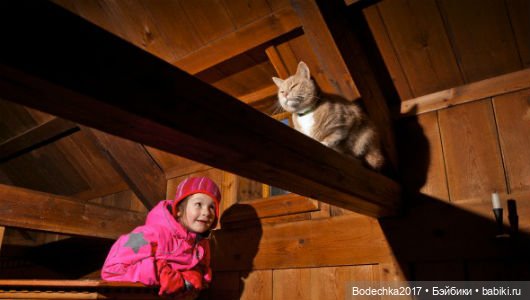 Музей кошек в Москве | Бэйбики Музей кошек в Москве — Болталка и разговоры обо всем: жизнь (фото 2)