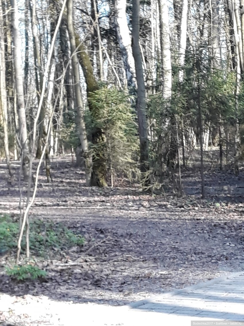 С наступающей Пасхой — Домашние коллекции кукол: фото собраний (фото 5)