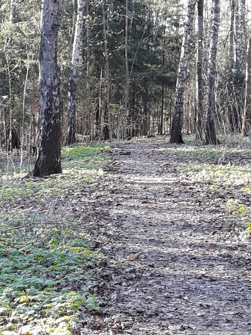 С наступающей Пасхой — Домашние коллекции кукол: фото собраний (фото 4)