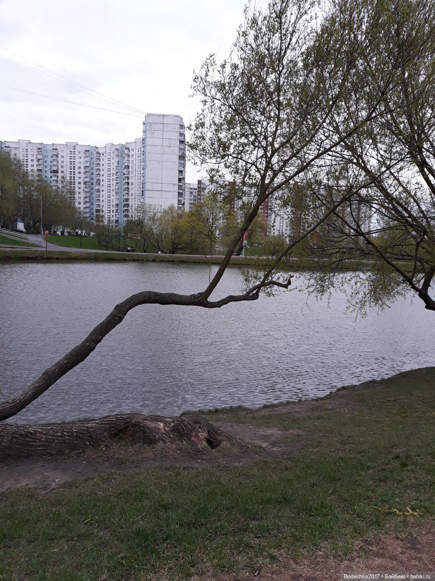Как Шмелик ходил Весну искать, а нашел уток (фото 2)