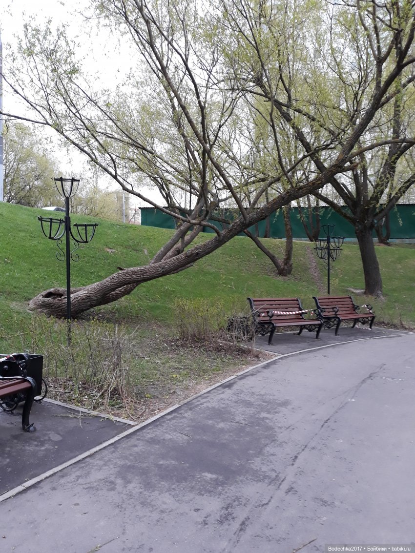 Как Шмелик ходил Весну искать, а нашел уток (фото 4)