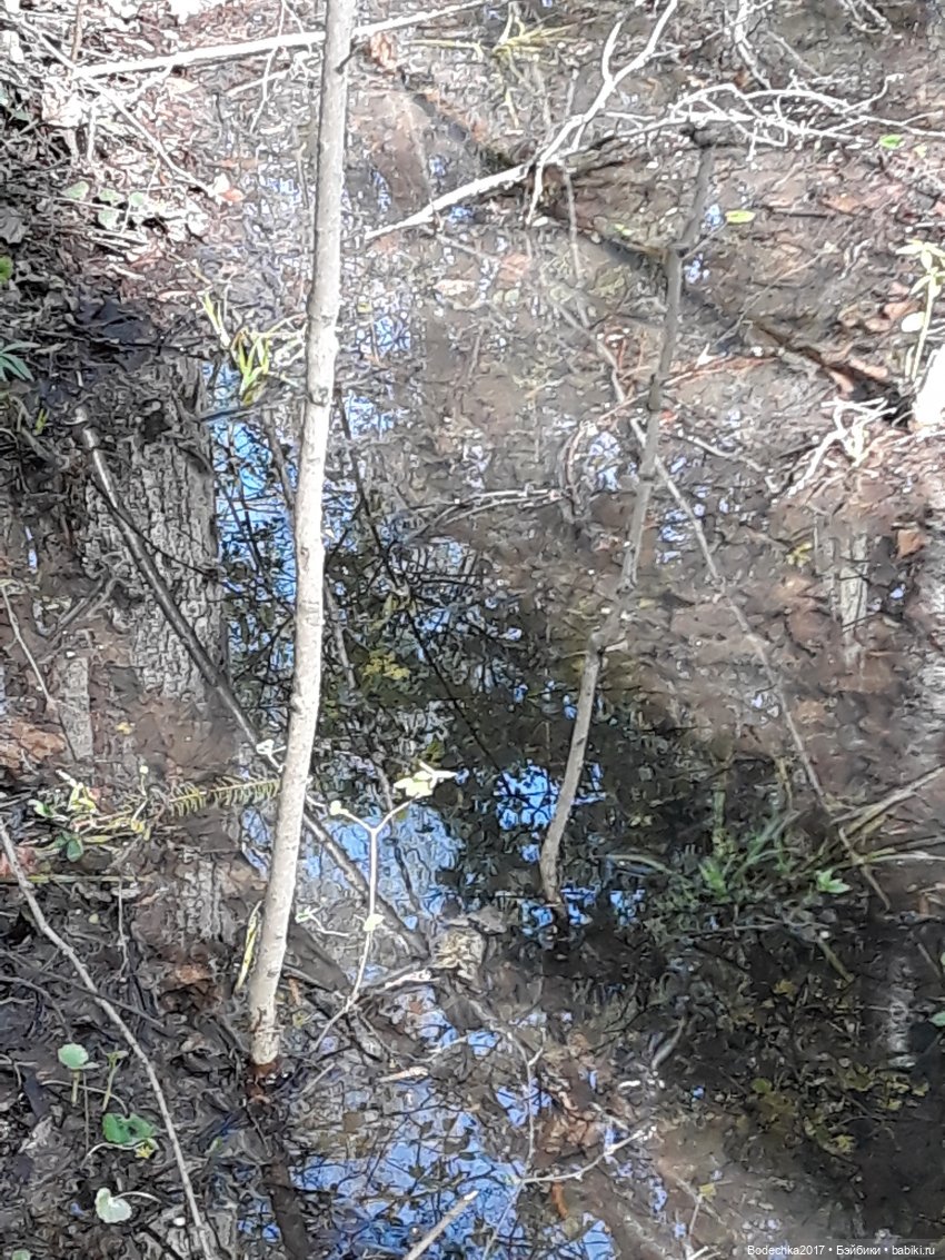 Мечта — Болталка и разговоры обо всем: жизнь (фото 8)