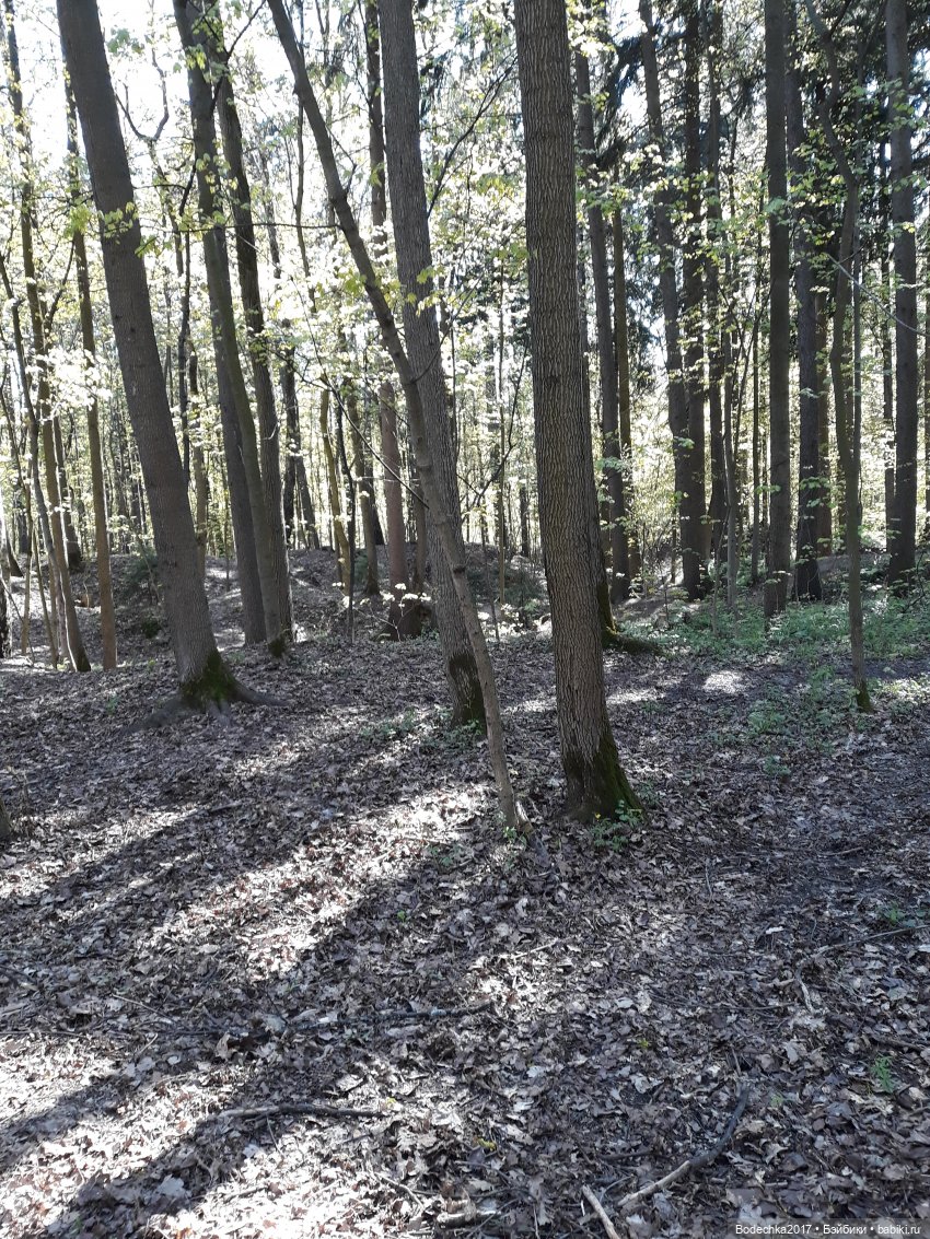 Мечта | Бэйбики Мечта — Болталка и разговоры обо всем: жизнь (фото 2)