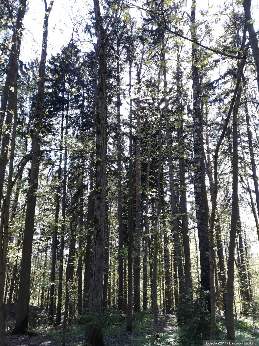 Мечта | Бэйбики Мечта — Болталка и разговоры обо всем: жизнь