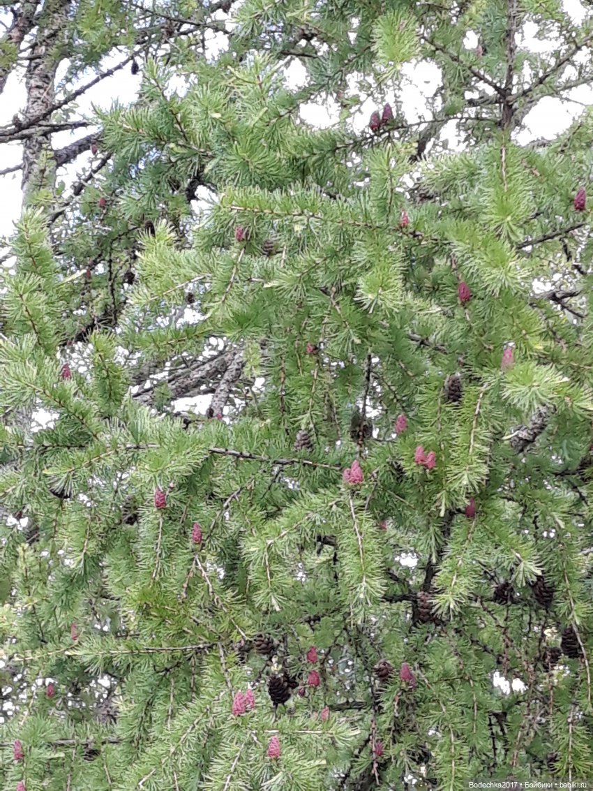 Приехала недовольная обижулька (фото 10)