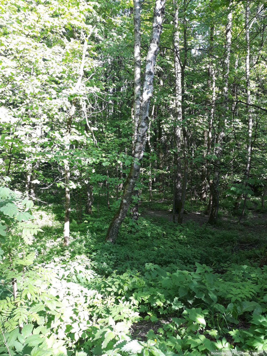 Как мы хотели погреть животик на солнышке (фото 6)