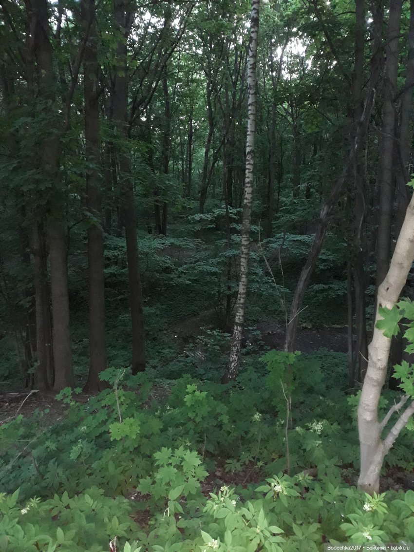 Вечерний променад — Винтажные куклы ГДР (Немки): Бигги (фото 5)