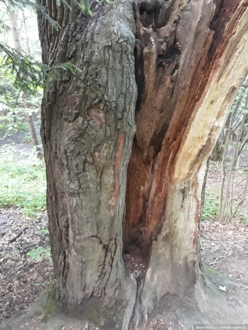 Надо спасать усадьбу — Культура