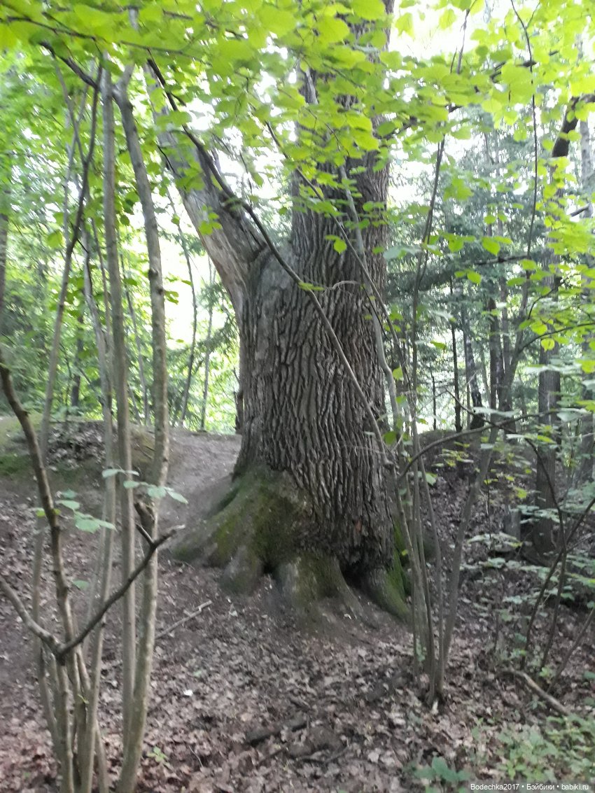 Надо спасать усадьбу — Культура