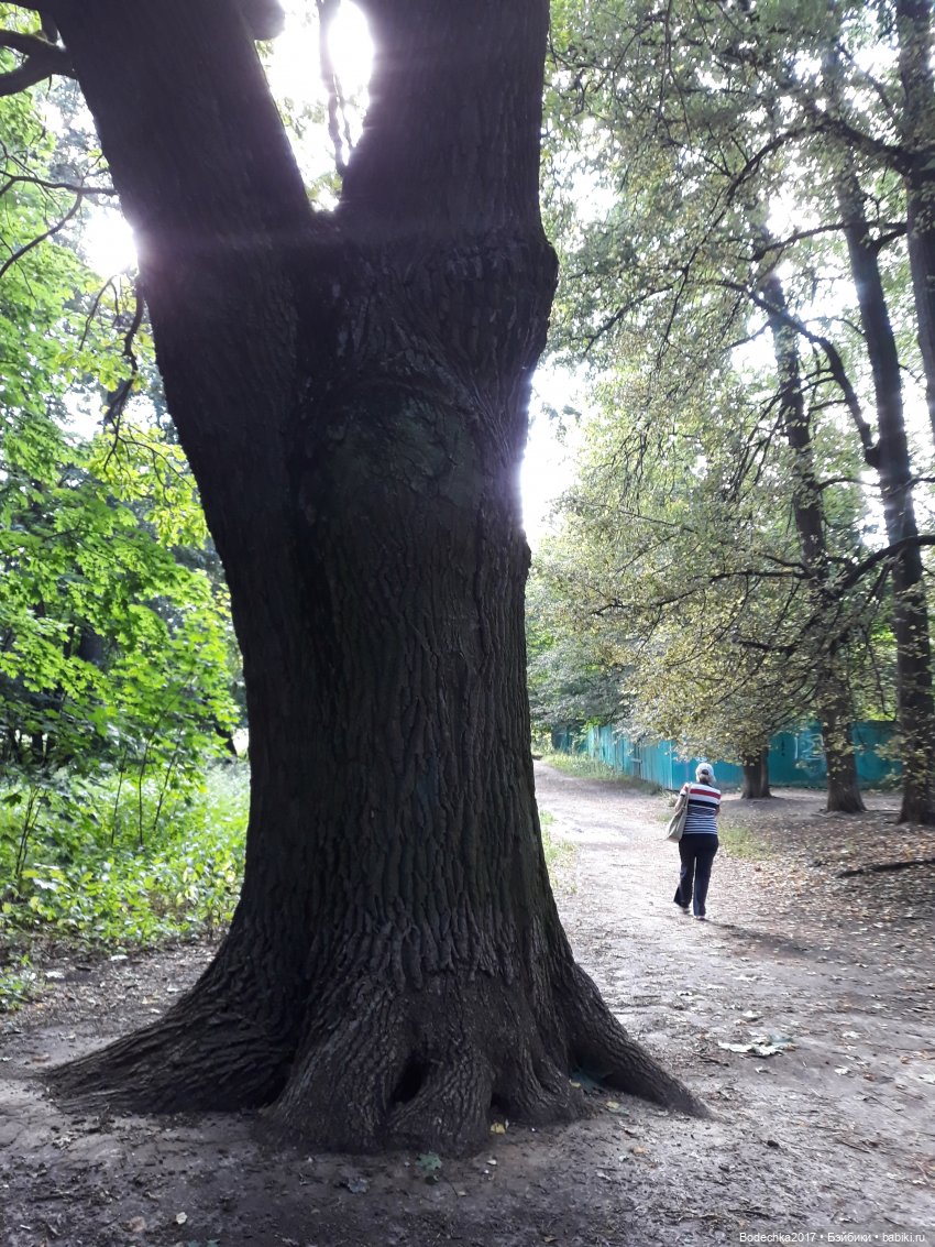 Надо спасать усадьбу — Культура