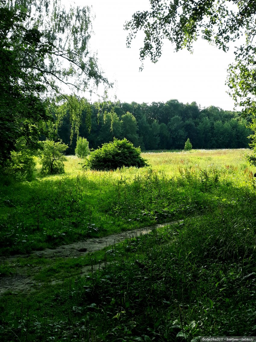 Надо спасать усадьбу — Культура