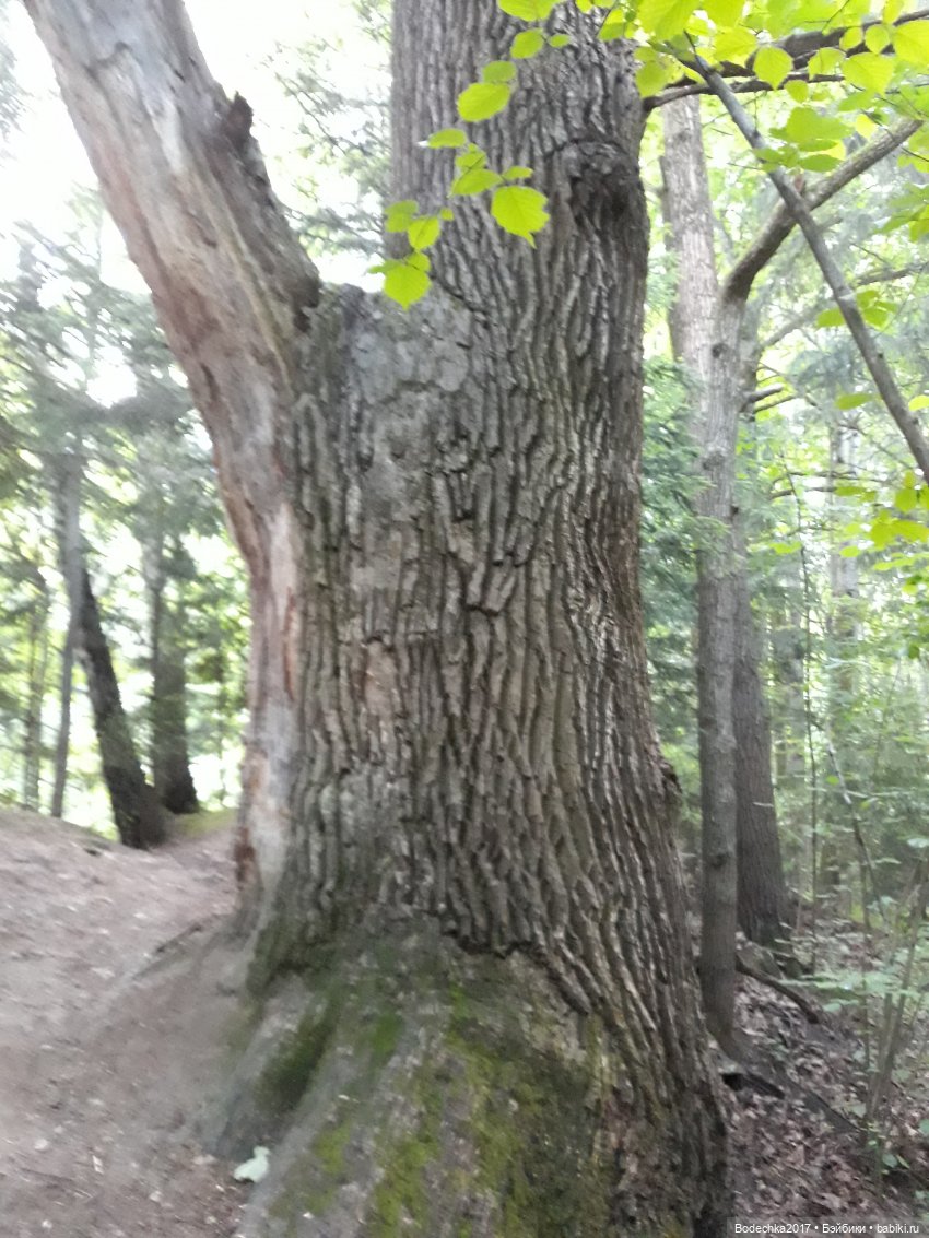 Надо спасать усадьбу — Культура