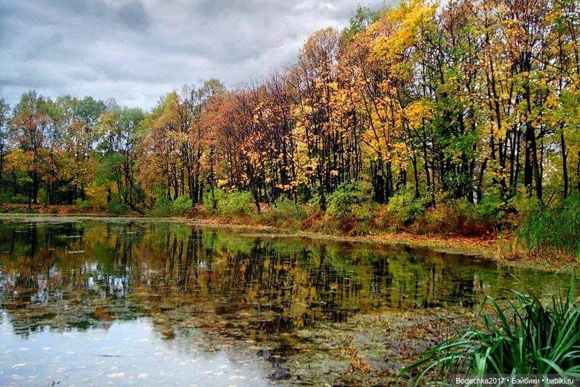 Надо спасать усадьбу — Культура (фото 6)