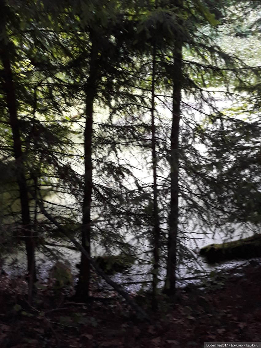 Надо спасать усадьбу — Культура