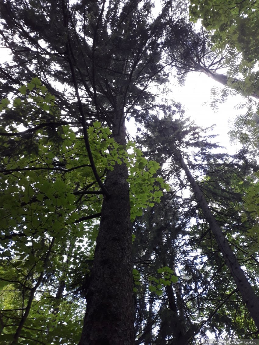 Канадец в рюкзаке — Винтажные куклы ГДР (Немки): Бигги