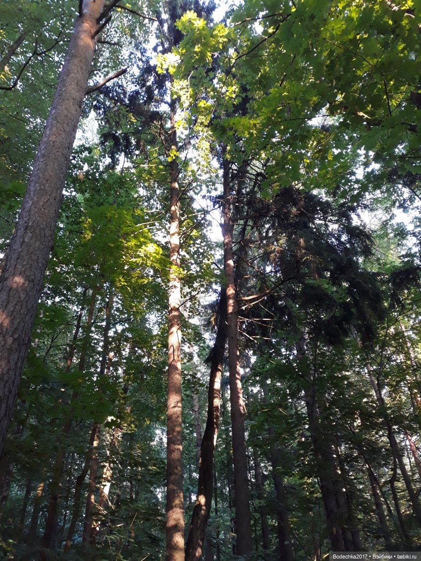 Канадец в рюкзаке — Винтажные куклы ГДР (Немки): Бигги