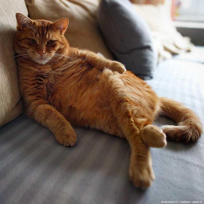 Доброго времени суток, всем | Бэйбики Доброго времени суток, всем (фото 6)